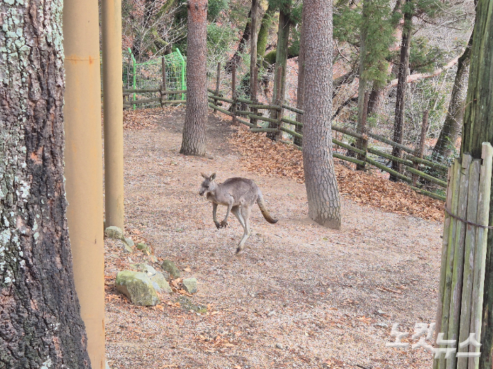 부산시가 삼정더파크 인수 계약금을 추경안에 담았다.  박중석 기자