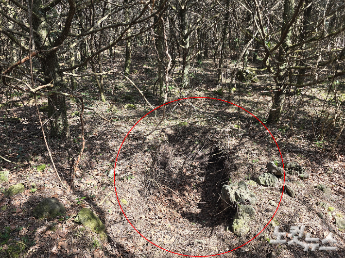 지난달 22일 서귀포시 람사르습지 물영아리오름 일대가 크게 파헤쳐진 모습. 이창준 기자