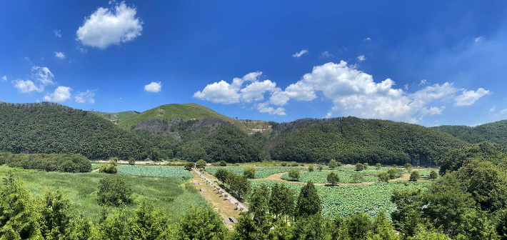 울산 회야댐 생태습지 전경. 울산광역시 제공