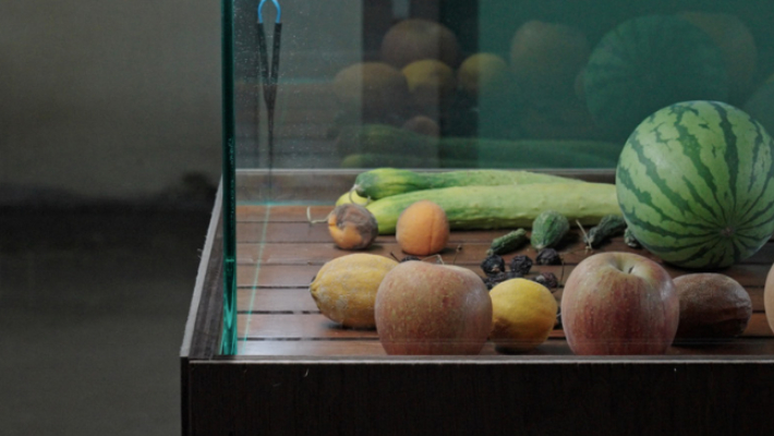 차재민, "광합성하는 죽음", 단채널 비디오(2024), 4K, 30분, 컬러/사운드. 에르메스 재단 제공