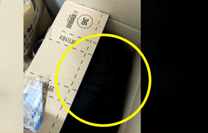 온라인 커뮤니티 캡처