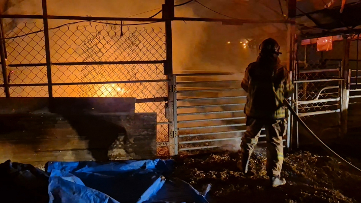 청양군 비닐하우스 화재 진화 모습. 청양소방서 제공