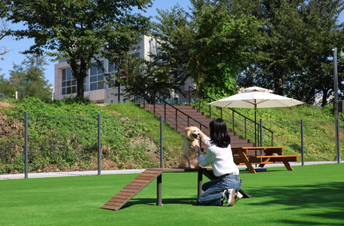 반려동물 놀이터. 동해시 제공