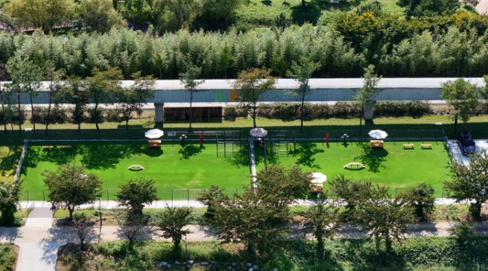 반려동물 놀이터 전경. 동해시 제공