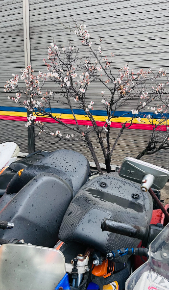 조중의 포항대학교 초빙교수·전직 언론인 제공