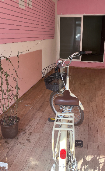 조중의 포항대학교 초빙교수·전직 언론인 제공