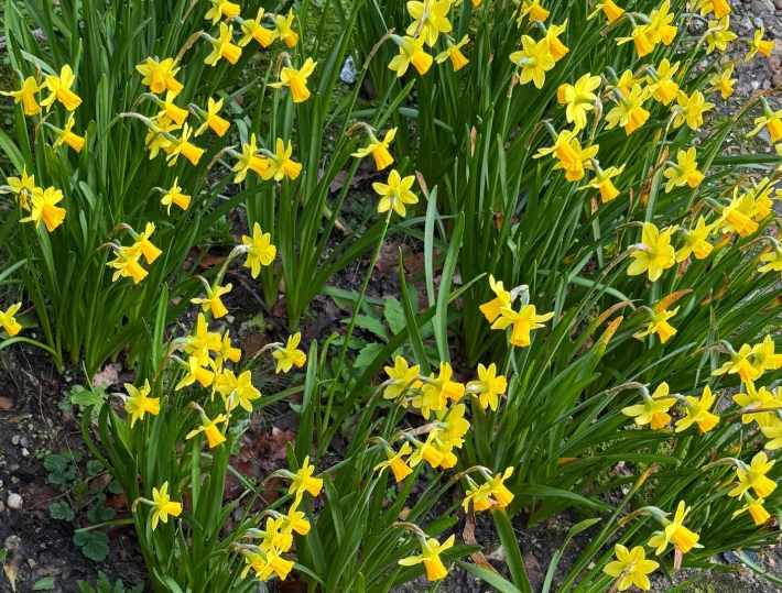 조중의 포항대학교 초빙교수·전직 언론인 제공