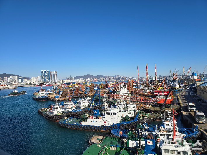 부산항 어선과 각종 선박들. 기사 내용과 직접적인 연관 없음. 송호재 기자