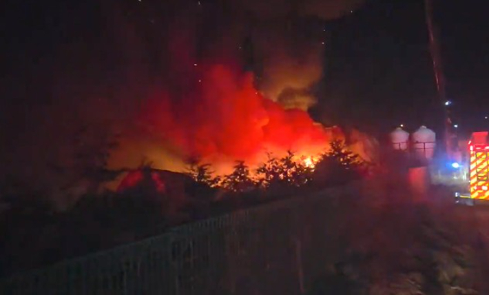 6일 정읍의 한 돈사서 발생한 불. 전북소방본부 제공