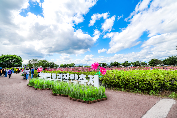 2025 함안 청보리작약축제. 함안군 제공 