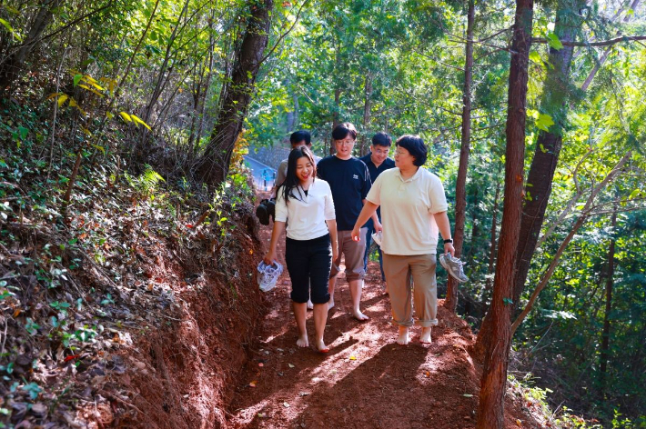 보성읍 망제산 '맨발 산책길'. 보성군 제공  