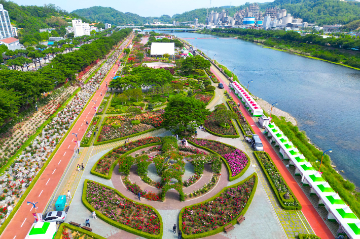 2025 삼척장미축제장 전경. 삼척시 제공