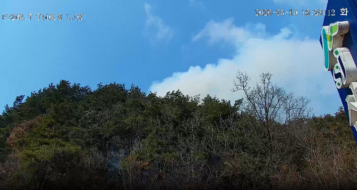 10일 오후 1시 6분쯤 경북 봉화군 봉화읍의 한 야산에서 불이 나 50분 만에 진화됐다. 경북소방본부 제공