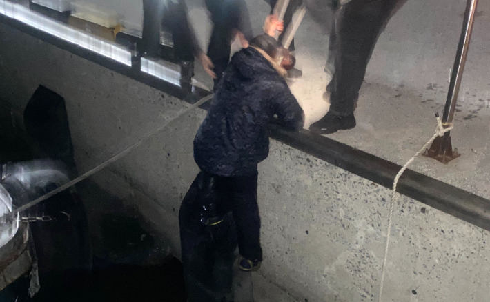 11일 오전 1시 30분쯤 전남 진도군 임회면 서망항 인근 바다에서 '사람이 바다에 빠졌다'는 신고가 접수돼 해경이 구조작업을 벌이고 있다. 목포해양경찰서 제공