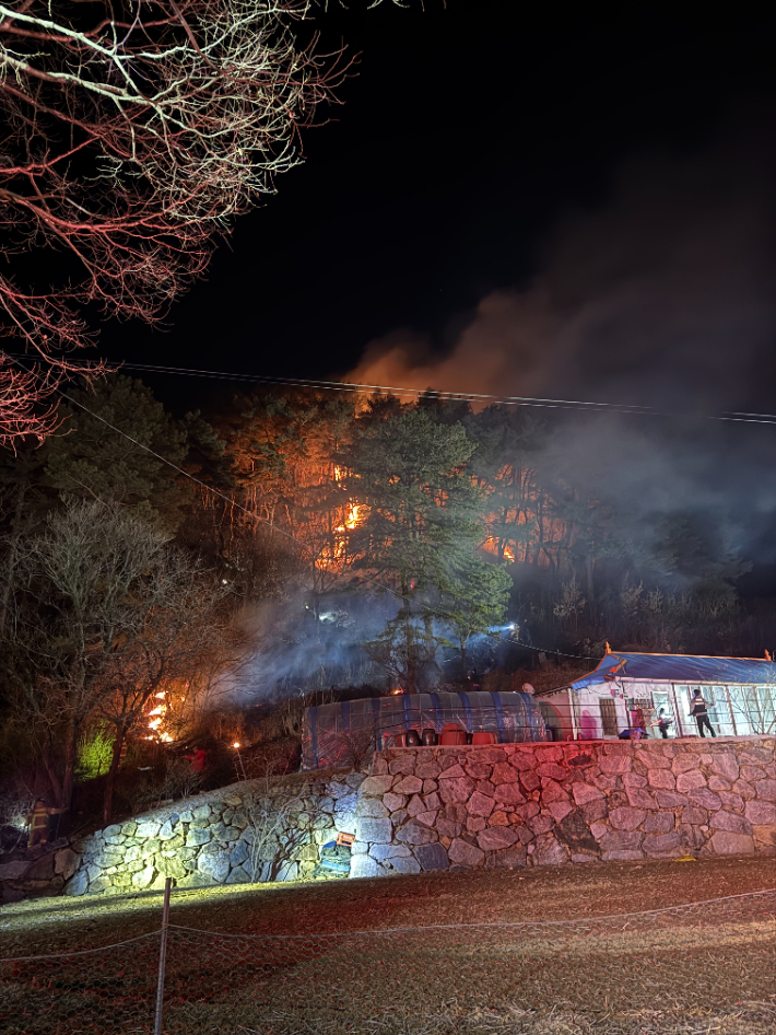 진안군 산불 현장. 전북소방본부 제공