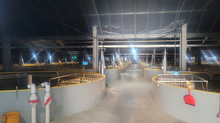 순환 여과식 양식장. 전라남도 제공