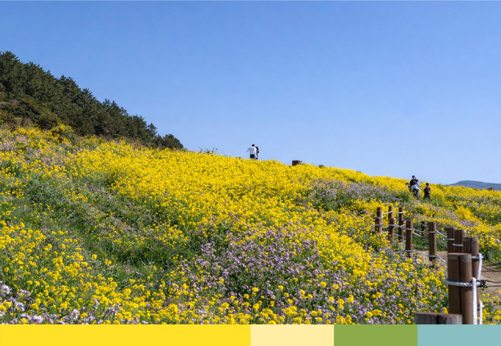 제주관광공사 제공