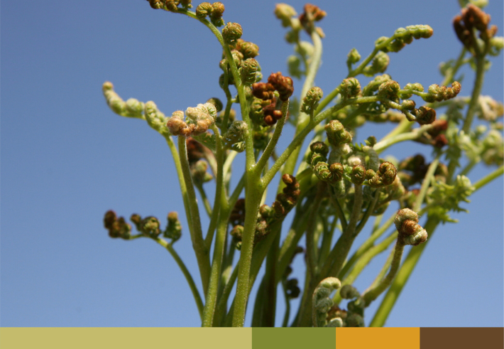 제주관광공사 제공