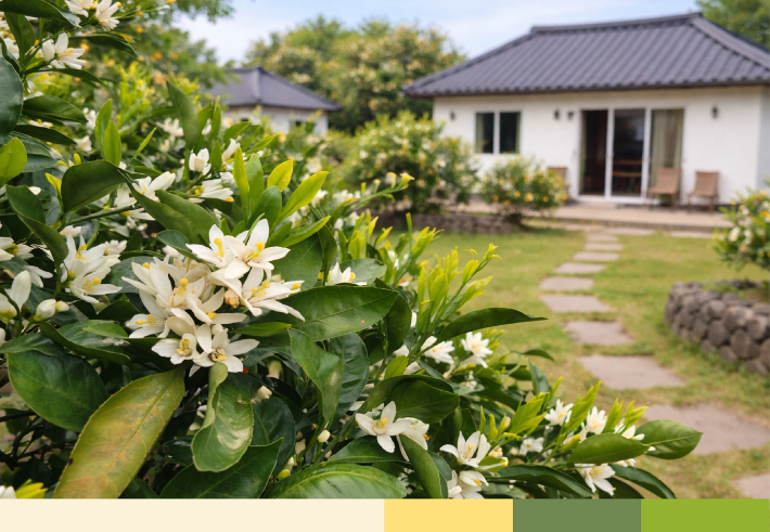 제주관광공사 제공