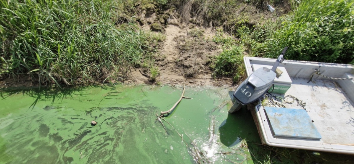 작년 9월 3일 낙동강 유역에 창궐한 녹조 모습. 연합뉴스