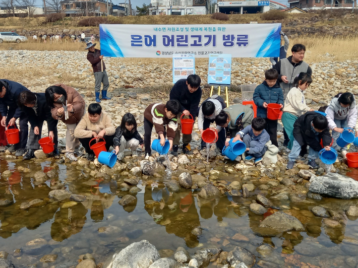 산청 경호강 어린 은어 방류. 경남도청 제공 