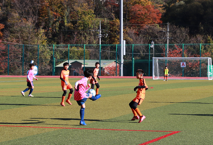 지난해 열린 백암온천배 전국 유소년 축구대회 경기 모습. 울진군 제공