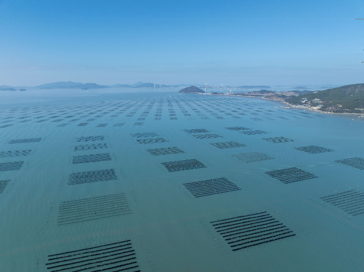 김 양식. 전라남도 제공