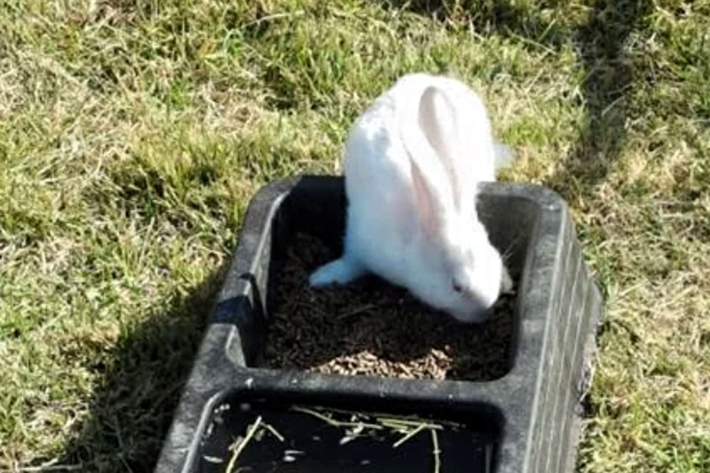 스마트이미지 제공