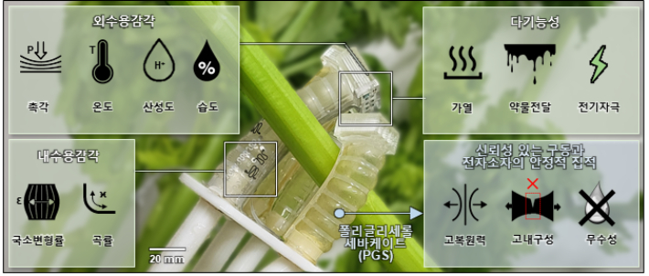 완전 퇴비화 가능한 소프트 로봇 시스템. 한국연구재단 제공
