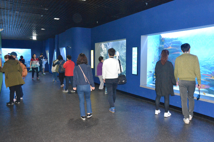 수족관 자료사진. 국립수산과학원 제공