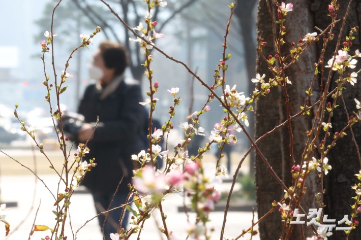(제목)이미지전송기