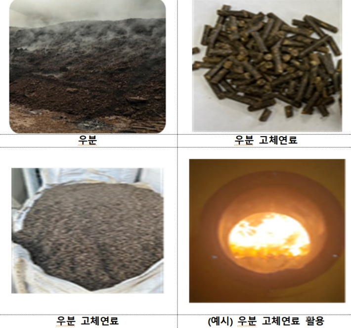 우분 고체연료. 전북도 제공