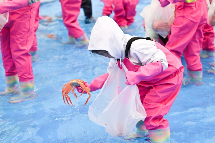 영덕대게축제. 영덕군 제공