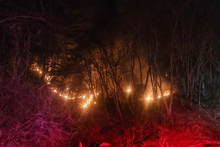 지난 17일 오후 11시 41분쯤 강원 춘천시 동산면 조양리의 한 컨테이너에서 시작된 불이 인근 야산으로 번졌다. 강원소방본부 제공