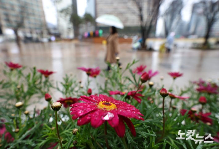 봄비 내리는 서울