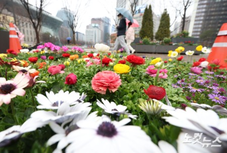 활짝 핀 꽃 사이로 봄비가..