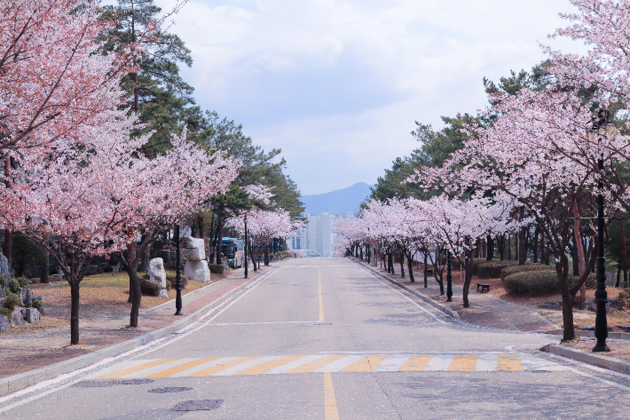 기사와 직접적인 관련 없음. 연합뉴스