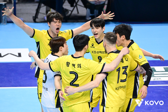 KB손해보험. 한국배구연맹