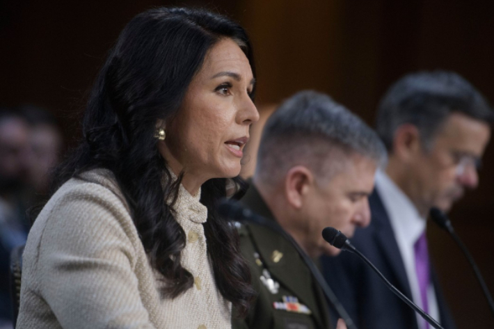 털시 개버드 美DNI 국장. 연합뉴스