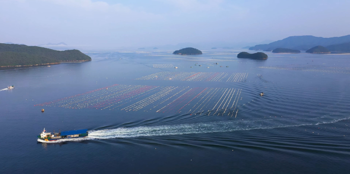 굴 양식장. 경남도청 제공 