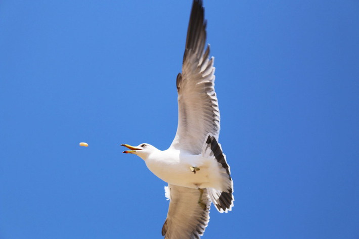 스마트이미지 제공