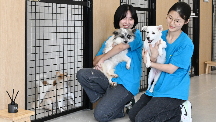 광주 동구 제공