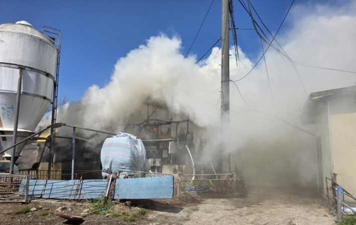 돈사 화재 현장. 전북소방본부 제공