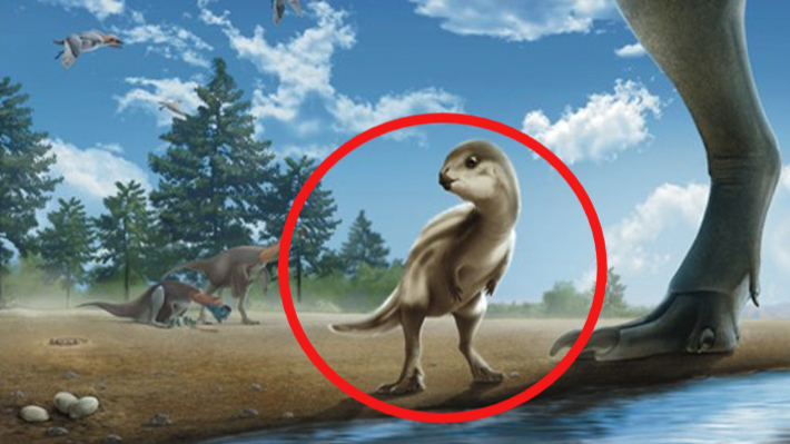 어린 둘리사우루스 허미니(Doolysaurus huhmini) 상상도. 전남대 한국공룡연구센터·미국 오스틴 텍사스대 정종윤 박사팀 제공