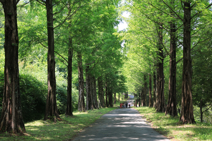 경남수목원. 경남도청 제공 