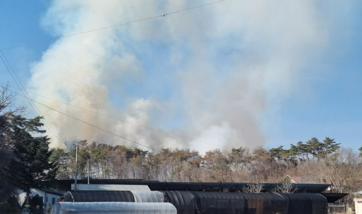 경북소방본부 제공 