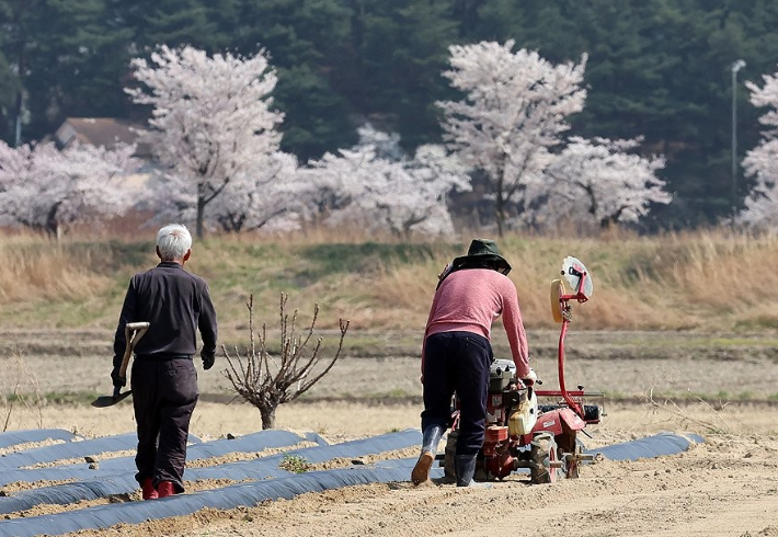 위 사진은 기사와 직접적인 관련 없음. 연합뉴스