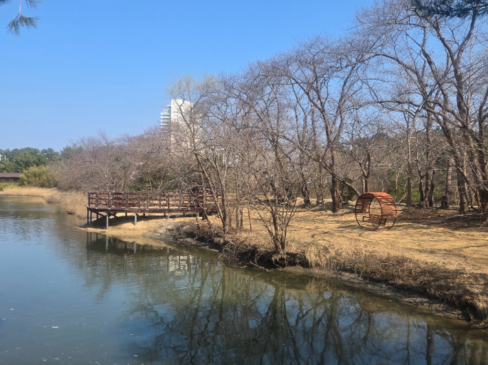 '경포 달빛품은 호수정원' 조성 마무리. 강릉시 제공