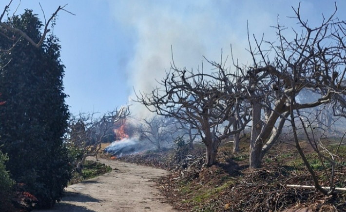 불법 소각행위 적발. 경남도청 제공 