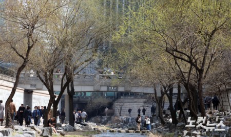 봄날씨에는 청계천으로!